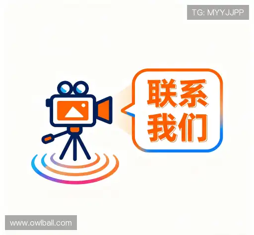 交流猫头鹰体育实时比分